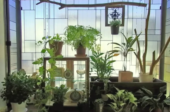 プライベートサロン　リンゼ